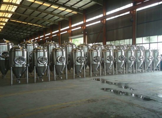 200L Carbonated Cnical Stainless Steel Fermentation Tanks 380V 50HZ Metal Tank